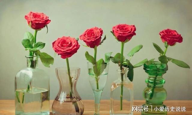 買來的鮮花如何保鮮更長久教你5個(gè)簡單技巧