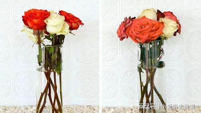 鮮花保鮮長時(shí)間讓它不開花_鮮花保鮮長時(shí)間讓它死亡_如何讓鮮花保鮮時(shí)間更長