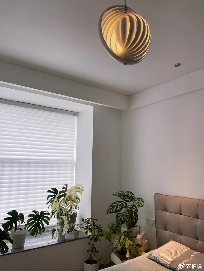 臥室里養(yǎng)花影響睡眠嗎_臥室養(yǎng)什么花助眠_(dá)什么花養(yǎng)在臥室里有助于睡眠