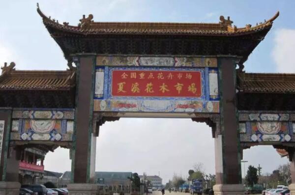 <strong>中國十大花卉批發(fā)市場，江蘇上榜兩處，第一是中國最大鮮切花市場(2)</strong>
