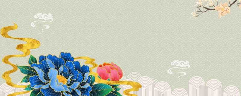 冬天開什么花 冬天都有什么花開