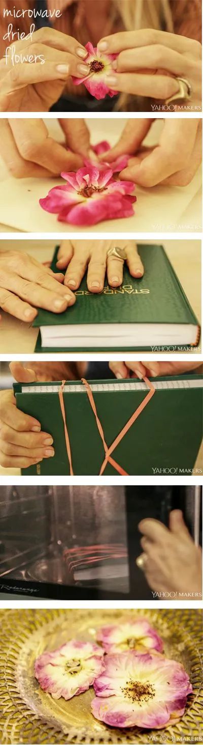 鮮花變干花后怎么保存_鮮花放干后變成干花_鮮花一直放會(huì)變干花嗎