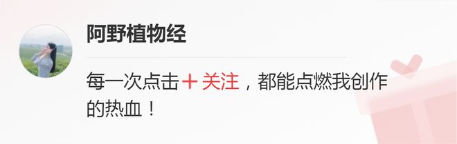 鮮花一直放會(huì)變干花嗎_鮮花變干花后怎么保存_鮮花放干后變成干花