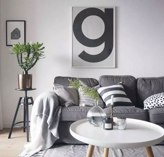 室內養(yǎng)綠植可以凈化空氣嗎_室內養(yǎng)綠植可以增加濕度嗎_可以室內養(yǎng)的綠植