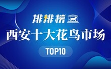 成都市場(chǎng)花鳥市場(chǎng)地址_成都花鳥市場(chǎng)_成都市場(chǎng)花鳥市場(chǎng)價(jià)格