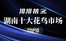 成都花鳥市場(chǎng)_成都市場(chǎng)花鳥市場(chǎng)價(jià)格_成都市場(chǎng)花鳥市場(chǎng)地址