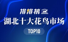 成都市場(chǎng)花鳥市場(chǎng)價(jià)格_成都市場(chǎng)花鳥市場(chǎng)地址_成都花鳥市場(chǎng)