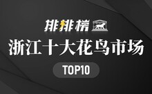 成都市場(chǎng)花鳥市場(chǎng)地址_成都市場(chǎng)花鳥市場(chǎng)價(jià)格_成都花鳥市場(chǎng)