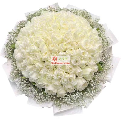 送愛人合適玫瑰花的花語_送愛人合適玫瑰花嗎_送愛人玫瑰花幾朵合適