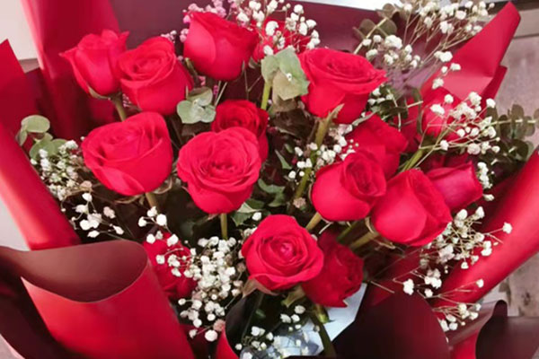 求婚玫瑰花應(yīng)該送什么顏色_送求婚玫瑰顏色花怎么寫(xiě)_求婚送什么顏色的玫瑰花