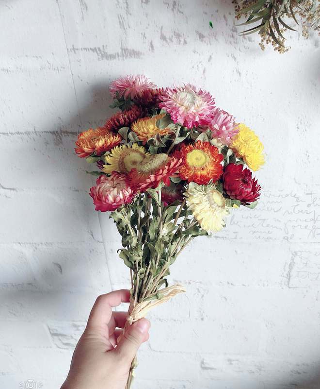 鮮花變干花后怎么保存_鮮花一直放會變干花嗎_鮮花放干后變成干花
