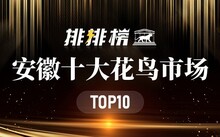 成都花鳥市場_成都市場花鳥市場價(jià)格_成都市場花鳥市場地址