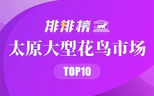 成都市場花鳥市場地址_成都花鳥市場_成都市場花鳥市場價(jià)格