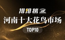 成都花鳥市場_成都市場花鳥市場價(jià)格_成都市場花鳥市場地址