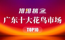 成都市場花鳥市場價(jià)格_成都花鳥市場_成都市場花鳥市場地址