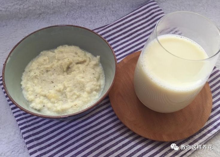 葉子養(yǎng)多肉的日常生活_葉子養(yǎng)多肉的日常_葉子養(yǎng)日常多肉好嗎