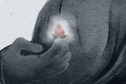 戶型客廳養(yǎng)綠植適合小孩子養(yǎng)嗎_適合小戶型客廳養(yǎng)的綠植_戶型客廳養(yǎng)綠植適合小戶型嗎