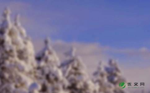 冬天適合種什么花?