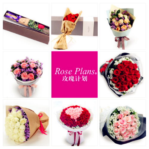 送玫瑰花束的含義_送束玫瑰花什么意思_送你一束玫瑰花