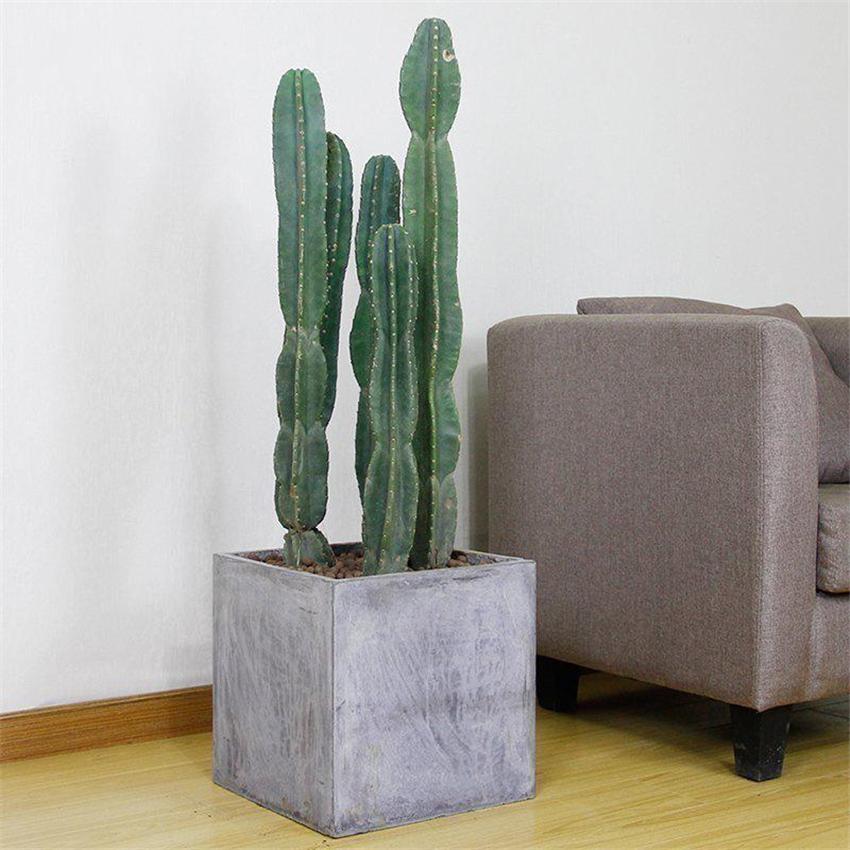 室內(nèi)養(yǎng)綠植好處_室內(nèi)養(yǎng)綠植好嗎_室內(nèi)養(yǎng)什么綠植好