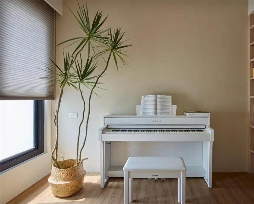 室內(nèi)養(yǎng)什么綠植好_室內(nèi)養(yǎng)綠植好嗎_室內(nèi)養(yǎng)綠植好處