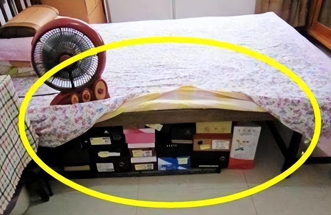 床頭綠植風(fēng)水_床頭綠植_床頭綠植推薦