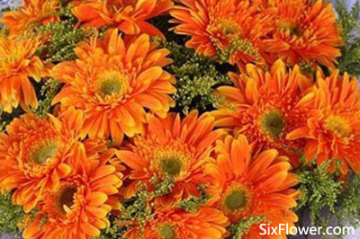 送花的都是什么人_送花的人_有人送你花