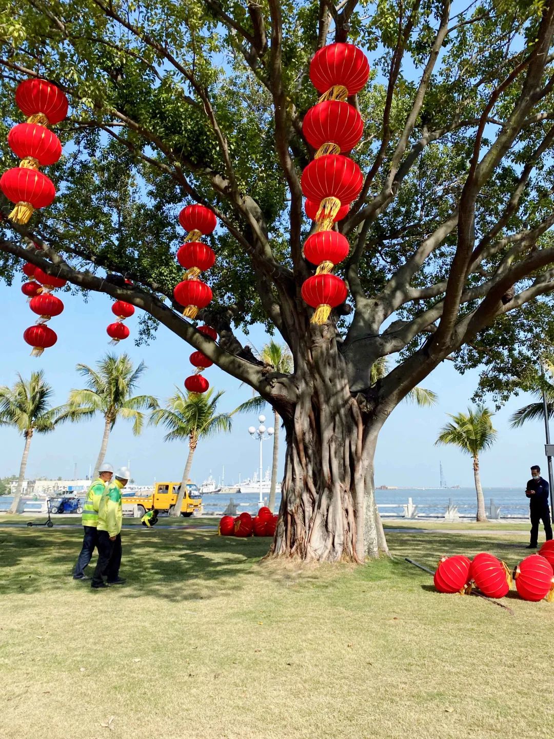 珠海市花卉批發(fā)市場_珠?；ɑ苁袌瞿睦锉阋薩珠?；ɑ苁袌雠l(fā)市場