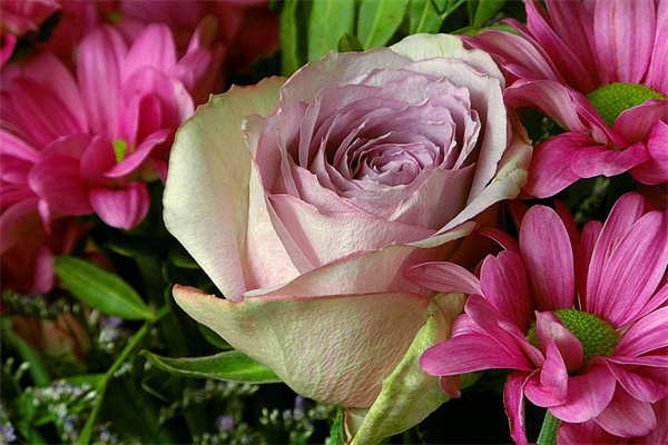 送花給朋友祝福語(送花給朋友祝福語寫什么)