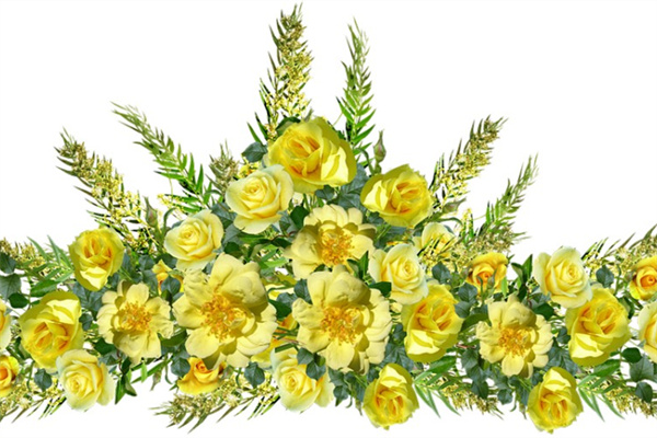 送給姐姐送什么花比較好呢(送給姐姐送什么花比較好呢男生)