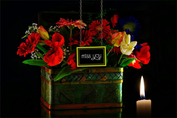 碧桃多肉的繁殖方法有哪些(碧桃多肉的繁殖方法有哪些視頻)