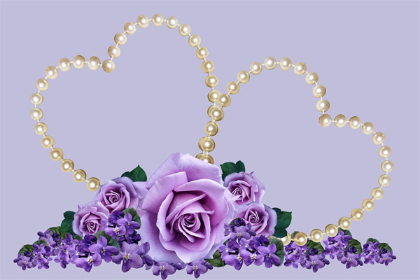 冬天開(kāi)的花朵(冬天開(kāi)的花朵圖片)