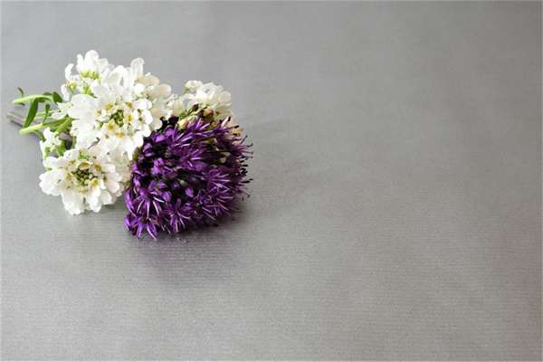 北京花卉綠植批發(fā)市場比較大的(北京最大花卉批發(fā)基地)